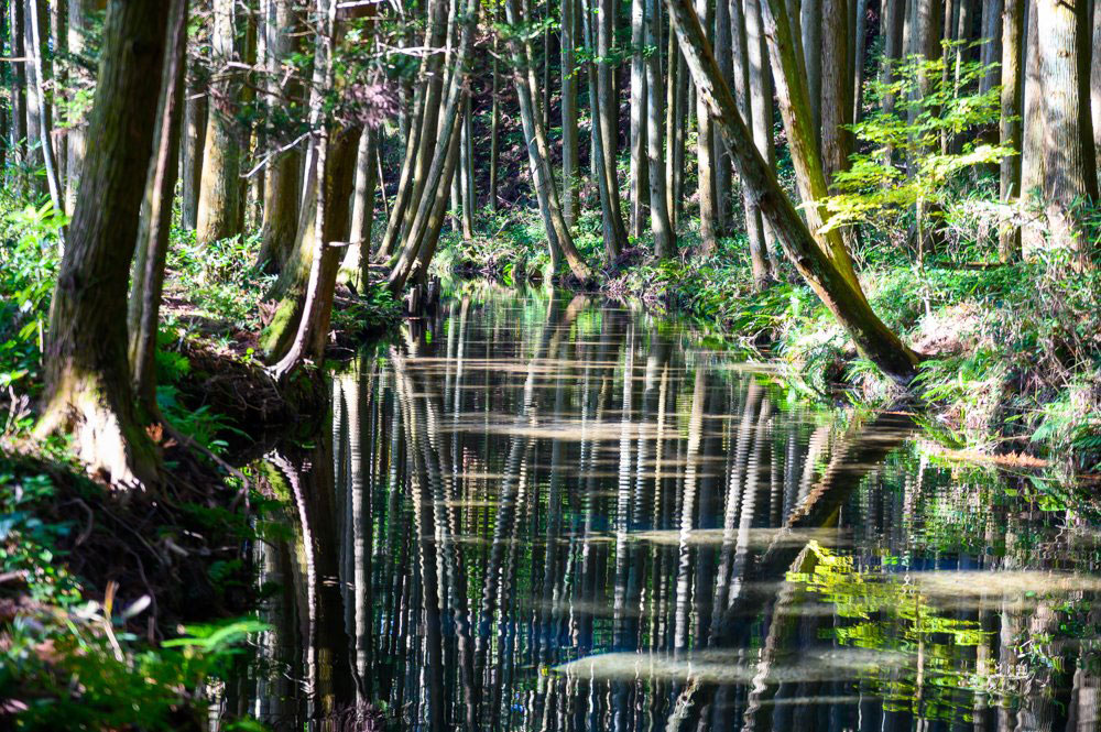 鳥海山の湧水100％「牛渡川」