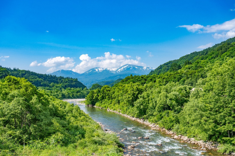 深緑と清流の向こうに残雪の月山