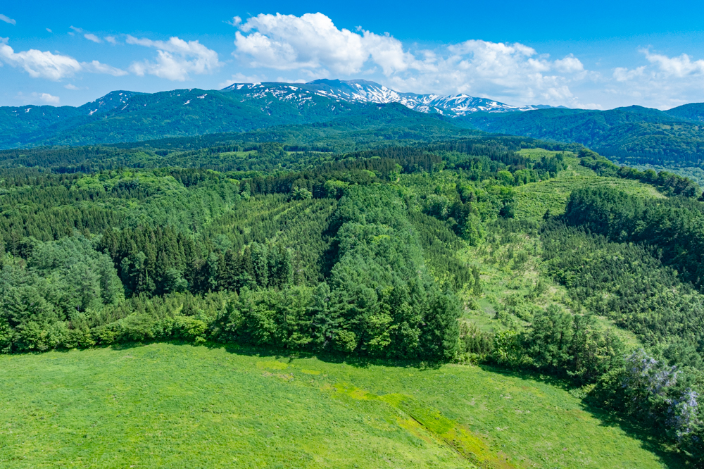 残雪の月山の麓に広がる高原牧場
