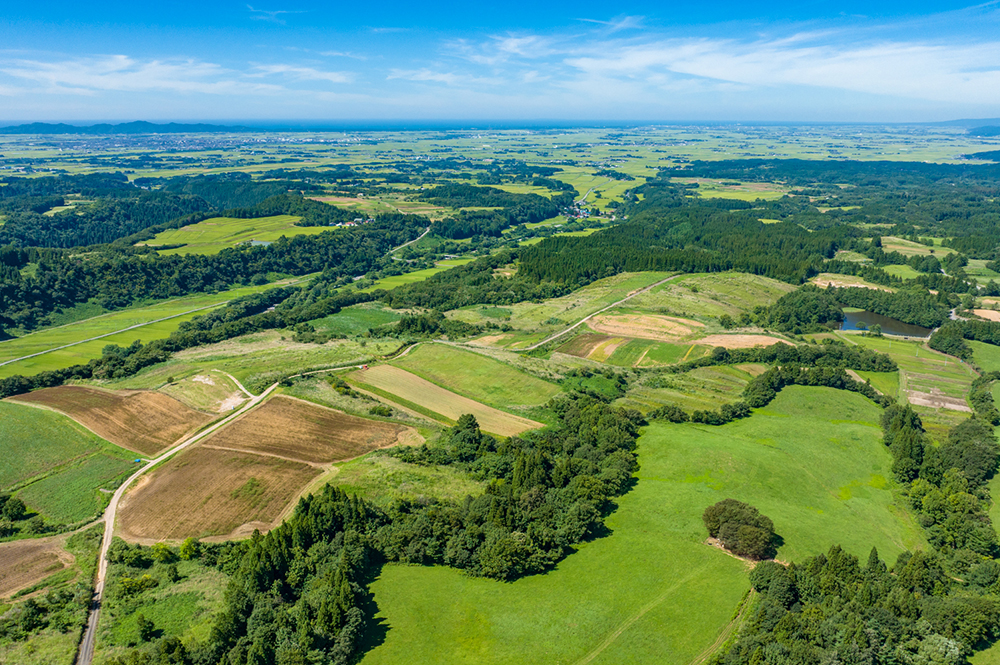 庄内平野の大パノラマ。海岸線が見える