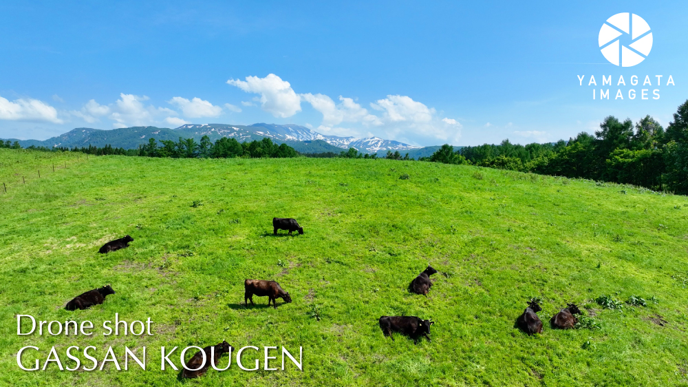 YAMAGATA IMAGES DRONE SHOT