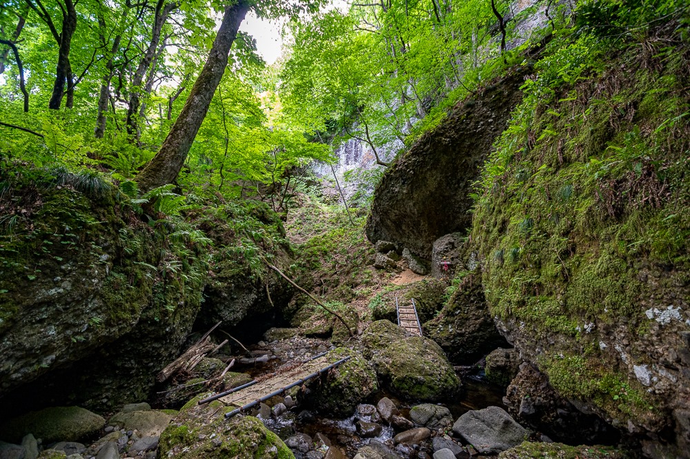 木橋を何度も渡り、苔むした岩間を進む