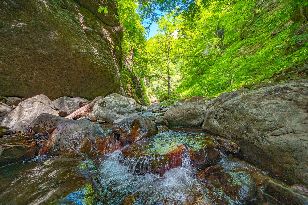 緑の木漏れ日が水面に映る。リラクゼーション感マックス