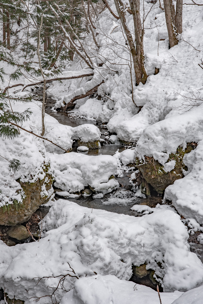 冬の遊仙峡。雪深く水量も多いのでベテラン向けのコースになる