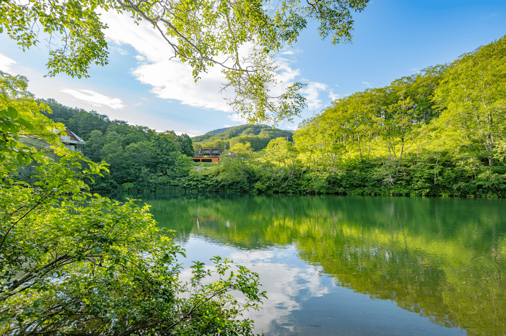 青色やエメラルドグリーンに変化する水面