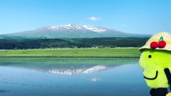 米どころ庄内にて。田んぼに映る逆さ鳥海山が美しい(画像提供:山形県観光立県推進課)