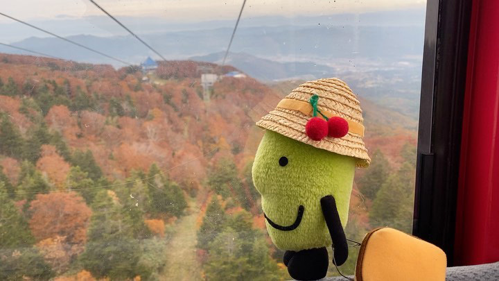 蔵王ロープウェイで紅葉を眺めるきてけろくん(画像提供:山形県観光立県推進課)