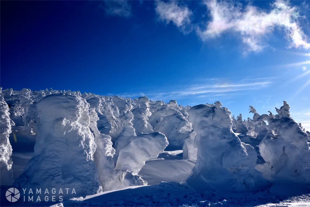 蔵王の樹氷群(画像:YAMAGATA IMAGES / MAN CREATE)