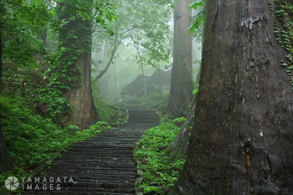 羽黒山(出羽三山)の石段(画像:YAMAGATA IMAGES / MAN CREATE)
