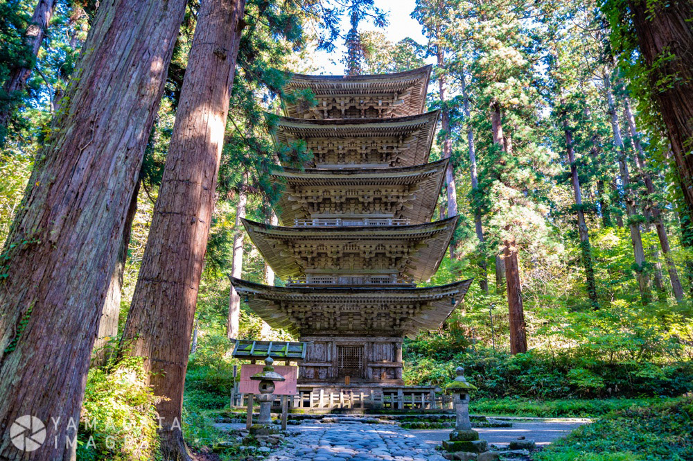 出羽三山の名所、羽黒山五重塔（鶴岡市）