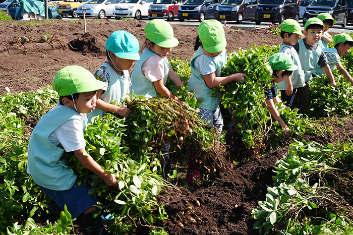 地域の未来につながる取り組み