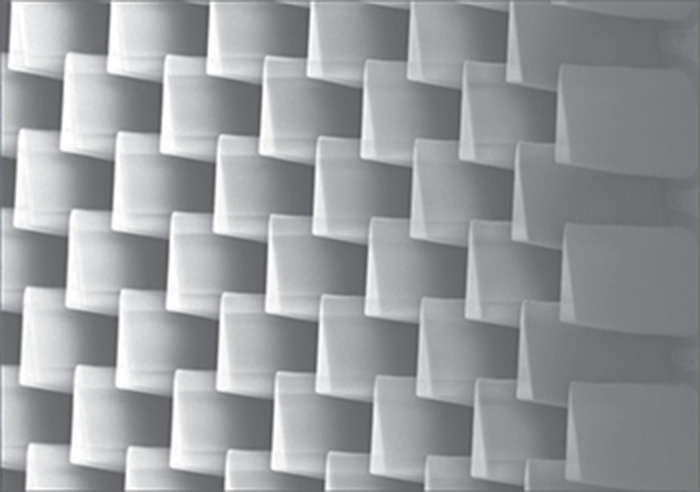 液体を瞬時に拡散させるフナムシの足の表面構造と、鮮やかな青色が目を引くモルフォ蝶の標本（画像提供：スズキハイテック株式会社）