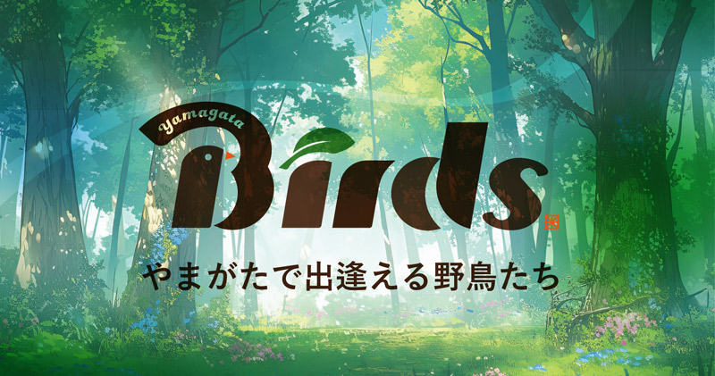 山形で出逢える野鳥たち | 山形会議